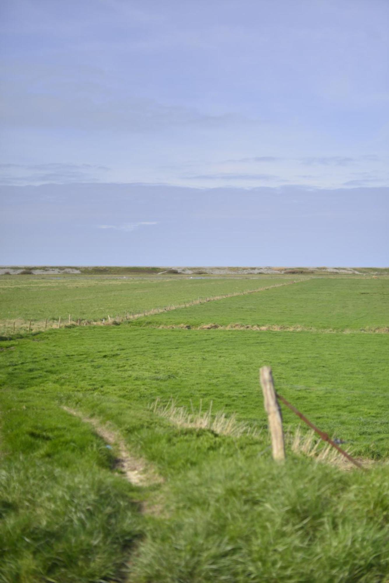 Le Cottage De La Baie - Vue Mer En Baie De Somme Woignarue Dış mekan fotoğraf